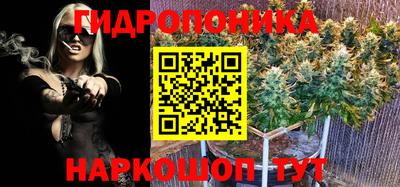 эйфоретик Кунгур