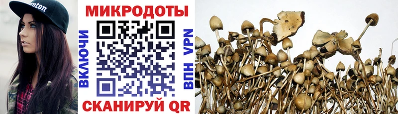 купить наркотики сайты Иркутск Псилоцибиновые грибы MAGIC MUSHROOMS